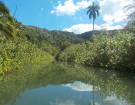 great flat water paddling