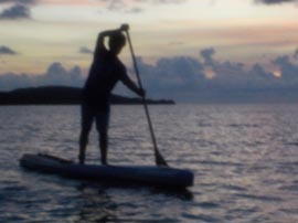 paddleboard rentals